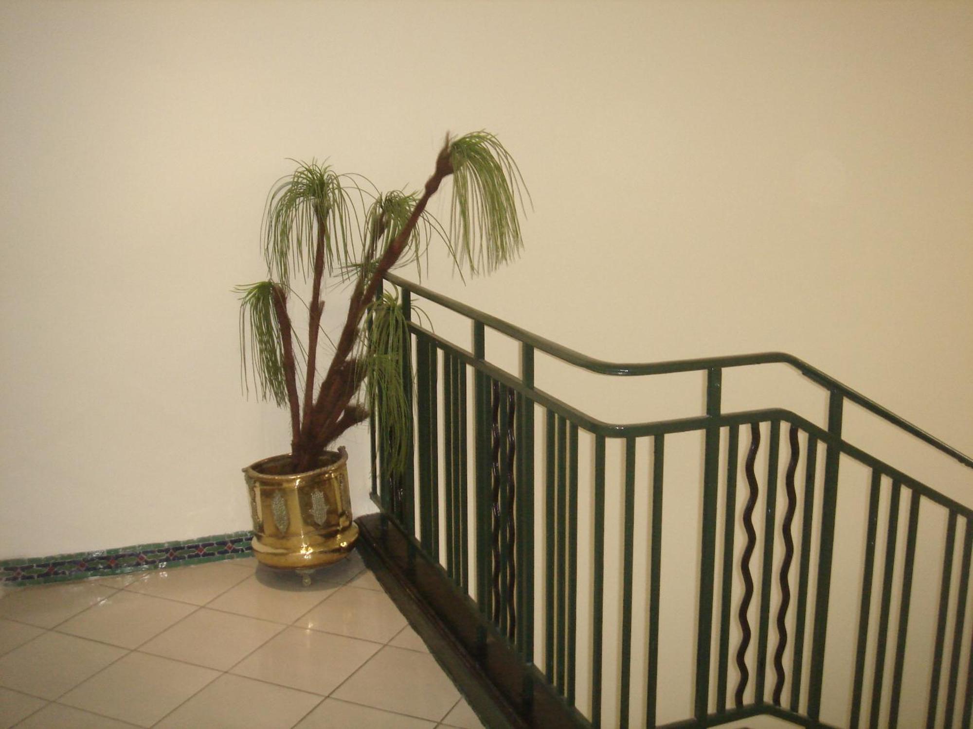 Hotel Olympic Fez Exterior photo